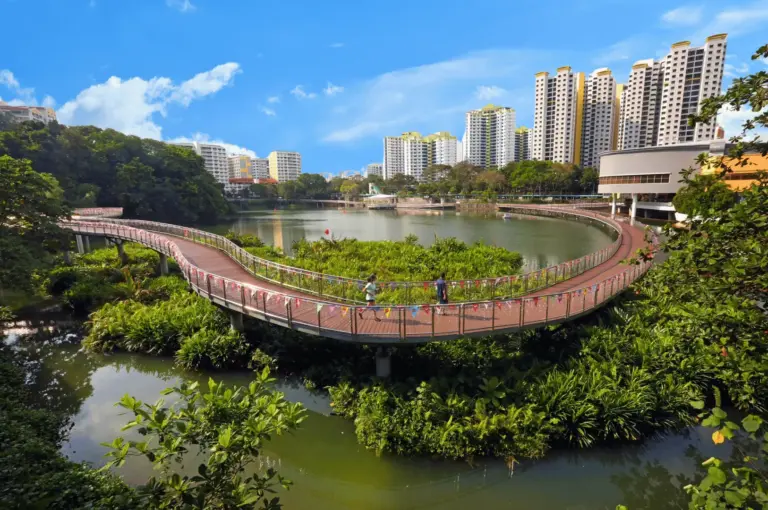 Floating boardwalk at Pang Sua Pond in Bukit Panjang, Singapore, with high-rise HDB residential buildings and a blue sky in the background.